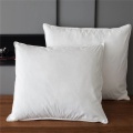 Wholesale healthy 100% Cotton duck feather down pillow