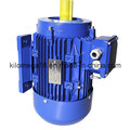 Three Phase Cast Iron Electric Motor with Ce Certificate 10kw