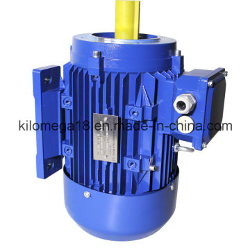 Three Phase Cast Iron Electric Motor with Ce Certificate 10kw