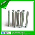 Special Screw Left Hand Thread Screw