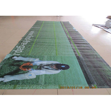 Advertising Plastic PVC Banner Printing Vinyl Mesh Signs