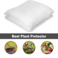 ANTI BIRD NET NETTING PROTECTION PLANTS VEG CROPS