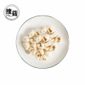 Good price hot sale Freeze Dried Food FD Lychee chips