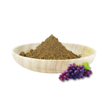 Vitis vinifera polyphenols grape seed extract resveratrol