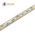 SMD5050 LED Strips 12V/24V