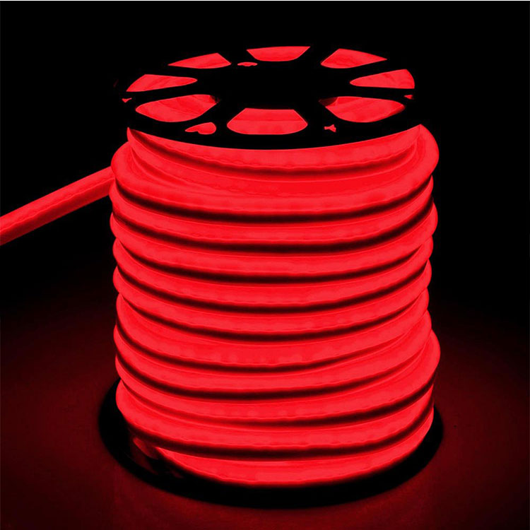 100m led neon light