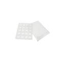 Food grade PET plastic blister tray with lid
