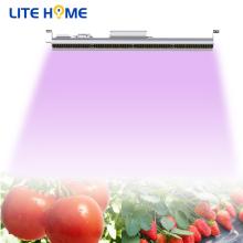 200w sunlight grow light led for