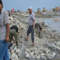 Low Carbon Iron Wire Gabion Box