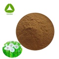 Free Sample Pure Natural Dandelion Root Extract Powder