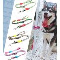 Full Color Polyester Dog Leash