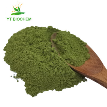 Matcha en poudre de thé vert certifié de qualité supérieure