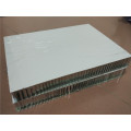 50mm Aluminium Honeycomb Panels