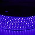 Flexible SMD 5050 RGB LED-Lichtbänder