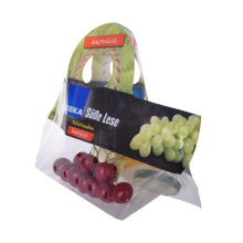 Sac de fruits congelés en plastique biodégradable de qualité supérieure