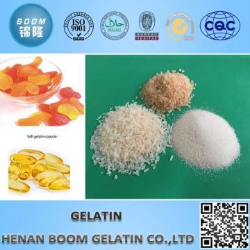Professional 180 bloom aloe gelatin with low price