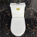 Double Siphonic Flushing Ceramic One-Piece Water Closet Wc