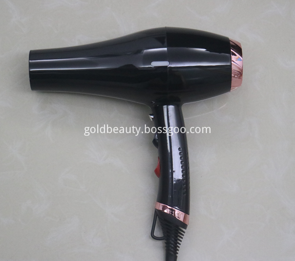 Customized Hair Blower