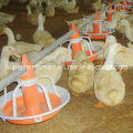 Poultry Equipment for Duck and Goose