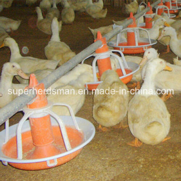 Equipo avícola para patos y ocas