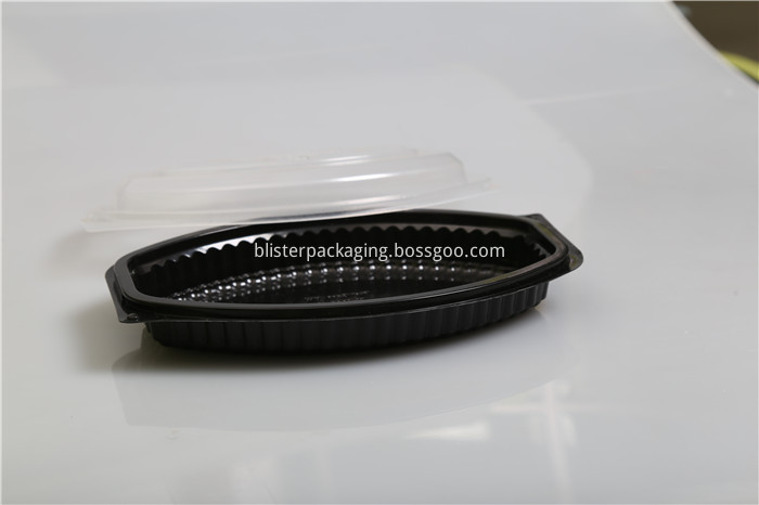 Bento Plastic Packaging Boxes