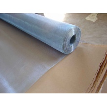 Electro Galvanized Iron Wire Netting for Insert Screen