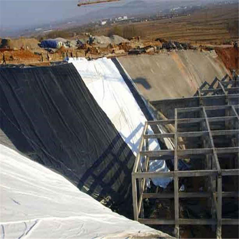 Hdpe Geomembrane 18