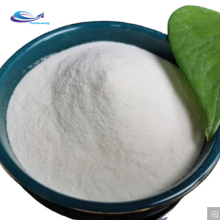 Astragalus Root Extract Best Price Cycloastragenol Powder