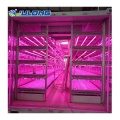 Smart farm shipping container plant greenhouse
