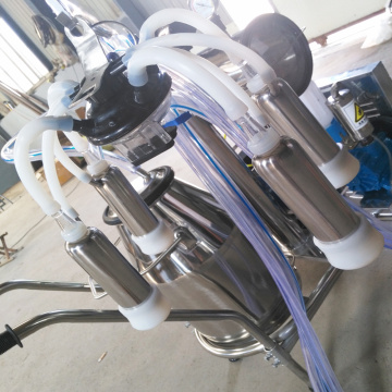 304 stainless steel buckets Mobile milking machine