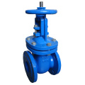 Rising Stem Gate Valve