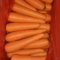 Good Quality of Chinese Fresh Carrot From Factory