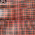 100 % Baumwoll-Popeline-Garn gefärbtes Gewebe für Hemden/Kleid Rls50-21po