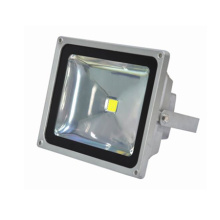 Luz de LED outdoor ES-50W