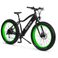 fat tire  electric bicycle