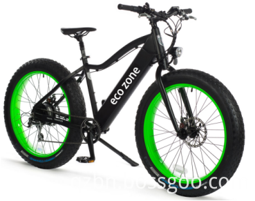 fat tire electric bicycle 