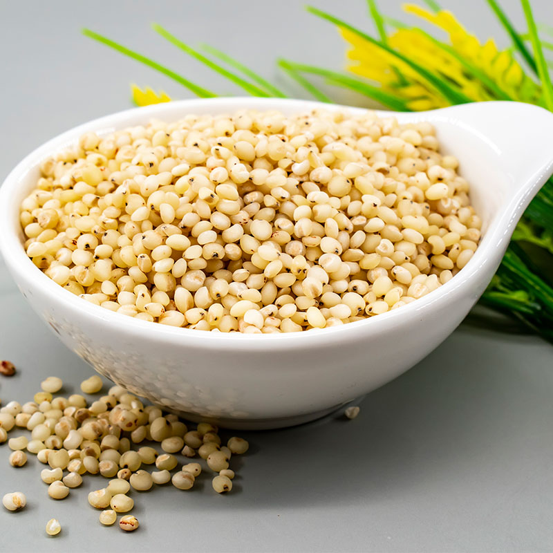  Sorghum Rice Whole Grains