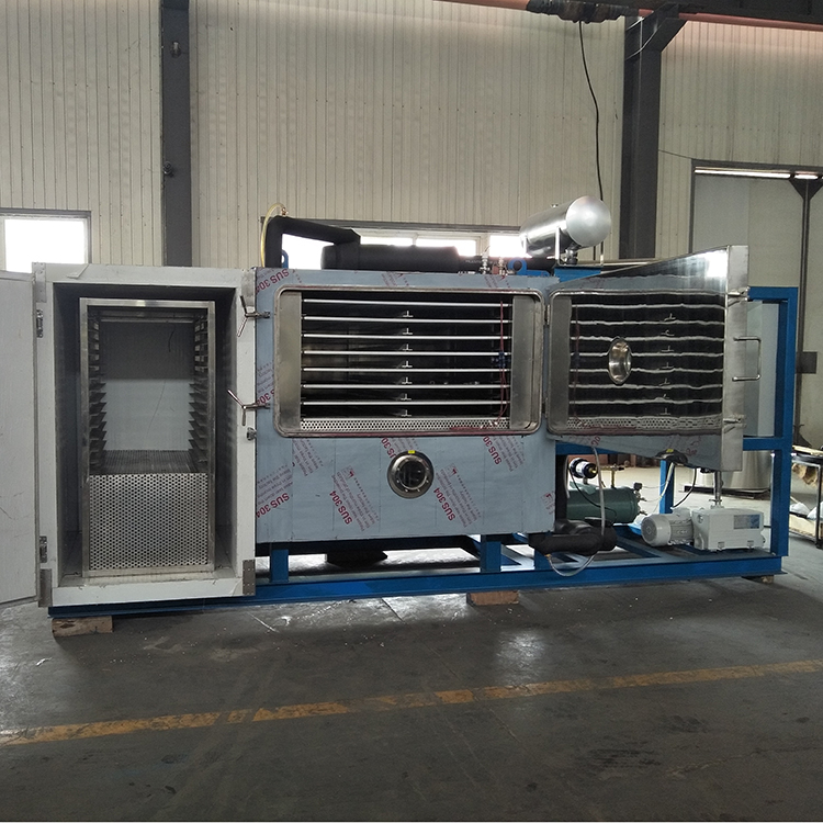 fish freeze drying machine