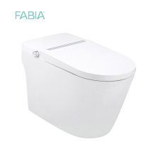 Smart Toilet Water Closet With Bidet Wash