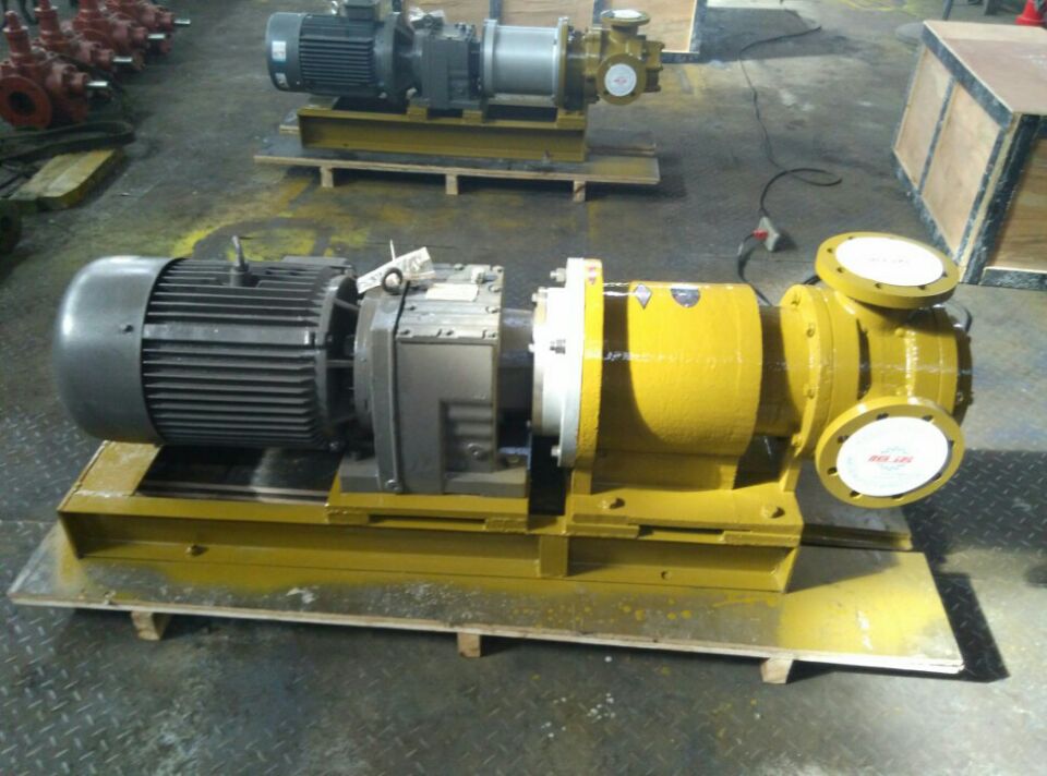 magnetic gear oil pump