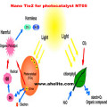 Nano-oxyde de dioxyde de titane nano-nanoparticules de nano-poudre TiO2