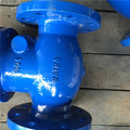 Swing Check Valve