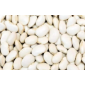 White Kidney Bean Extract