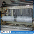 Hexagonal wire mesh/chicken poultry farms fence