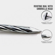 All Size Shingle Roofing Nails mit guter Qualität