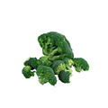 Spot Fourniture de poudre de brocoli naturel