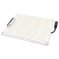 Wholesale LED PAR Panel Light Grow Plant Lamp