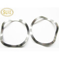 Slth-Ws-004 Stainless Steel Music Wire Wave Spring for Industry