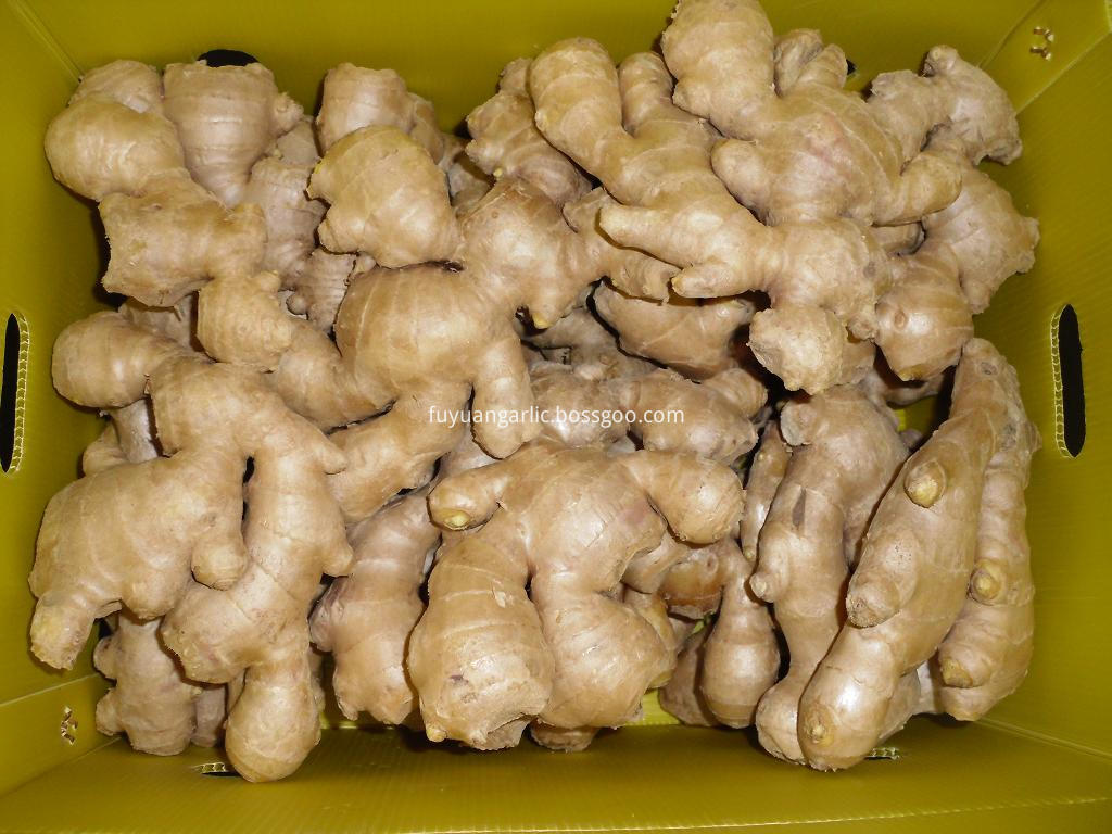 air dried ginger 