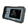 Veterinary Pregnancy B/W Ultrasound Equipment for Cat